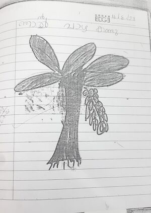 26316-EKM-KUNJ-FATHIMA FARHATH.jpeg