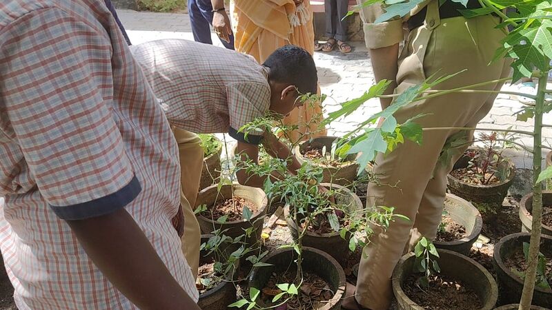 പ്രമാണം:35026 s2.jpg