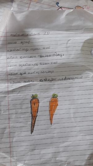 42653,Adil Sha Nahiyan,1 D.jpeg