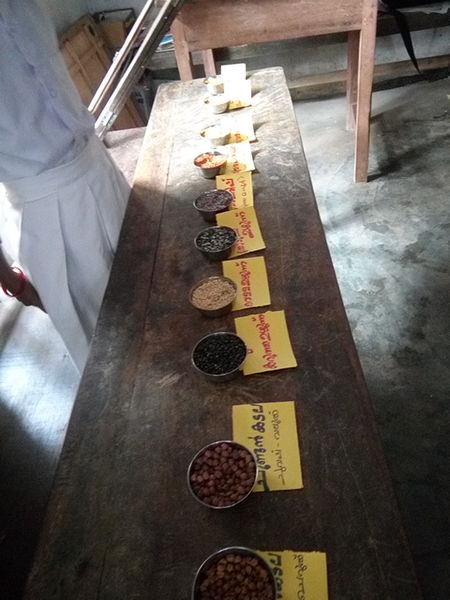 പ്രമാണം:44050 100.jpg