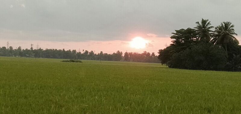 പ്രമാണം:44050 eco 60.jpeg