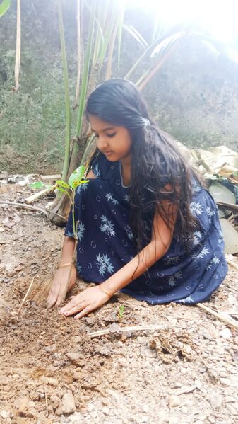 പ്രമാണം:PD 1 (4).jpeg