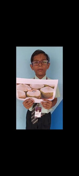 WhatsApp Image 2024-11-02 at 2.22.52 PM (1).jpeg