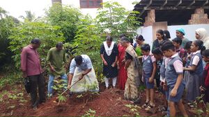 13603-orma maram 2.jpg