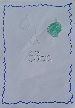 19317-MLP-KUNJ-MUHAMMED RAZEEN K.jpeg