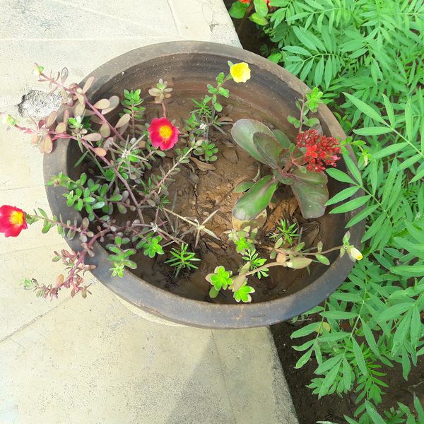 പ്രമാണം:21302-bio 14.jpg