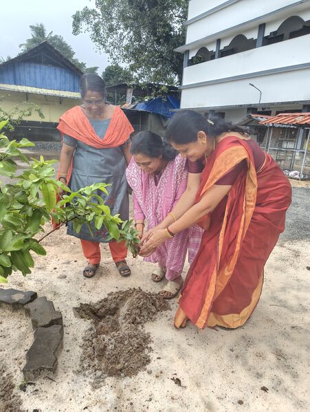 പ്രമാണം:35050 ed6.jpg