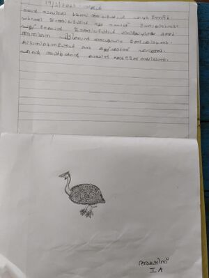 35216-ALP-KUNJ-AKSHITH 1 A.jpg