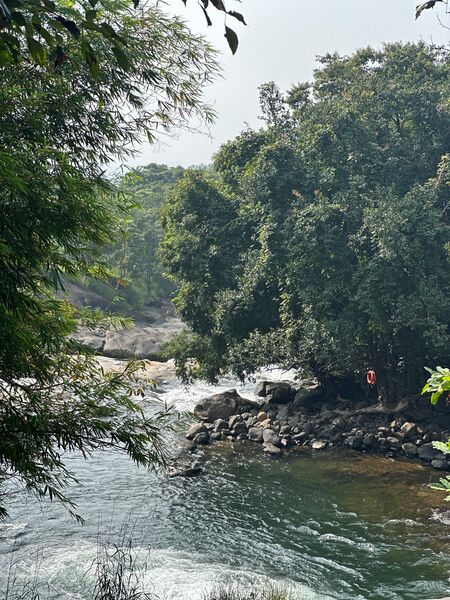 പ്രമാണം:48077 adyanpar8a.jpg