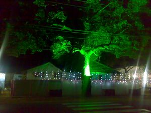 ELANJIYUDE NIZHALIL.jpg