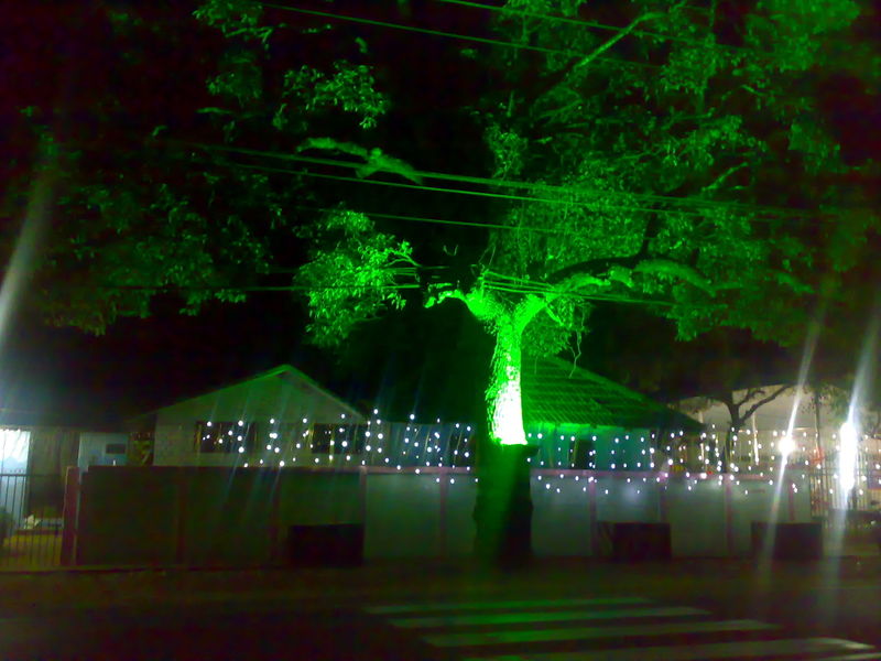 പ്രമാണം:ELANJIYUDE NIZHALIL.jpg