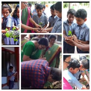 Environment day celebrations .jpg