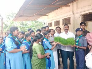 SOWING THE SEEDS OF GROWTH.jpeg