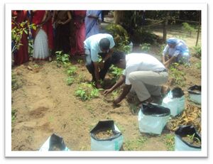 Teachers day 16 35052 (6).jpg