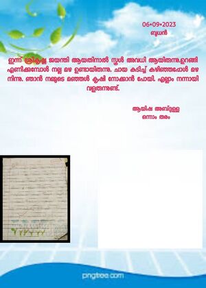 sachithra diary