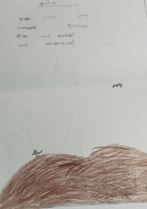 15370-WYD-KUNJ -ADAM.jpg