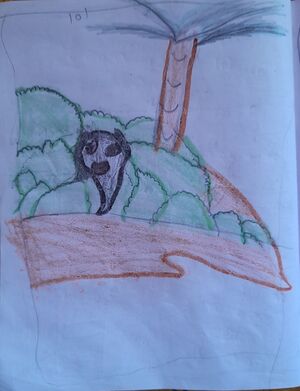 18216-MLP-KUNJ-AMEEN 1B.jpg