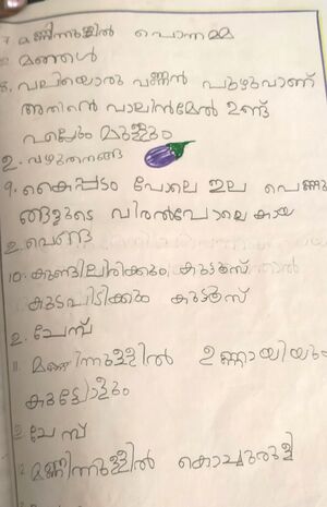 21732-PKD-KUNJ-NAFISATH MISIRIYA.jpg