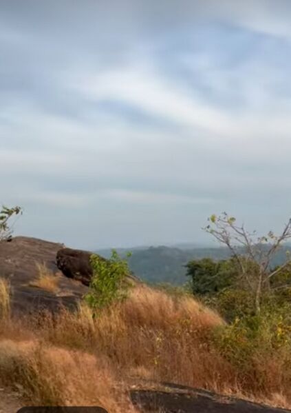 പ്രമാണം:22451 muniyara poomala.jpg