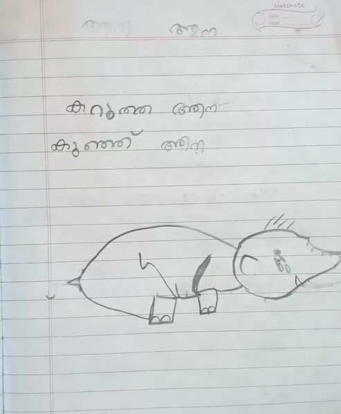 പ്രമാണം:33533-KTM-KUNJ-ARYA SANTHOSH.jpg