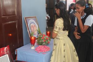 34046 m1.resized.JPG