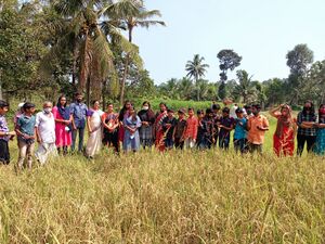 38325 koithulsavam.jpeg