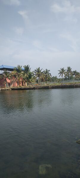 പ്രമാണം:41087 my village2.jpg