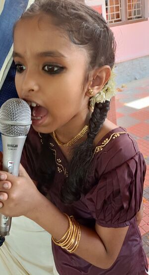 43210 Hitech photo.jpg