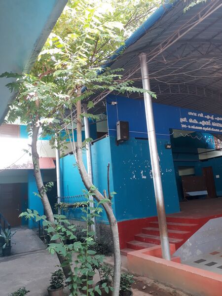 പ്രമാണം:44055 tree7.jpg