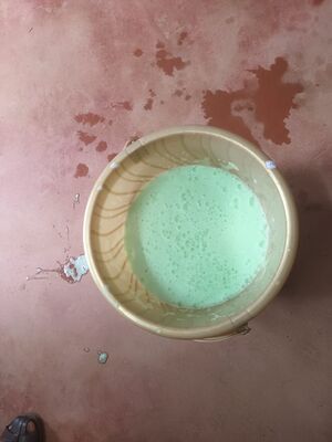 44066 handwash1.jpeg