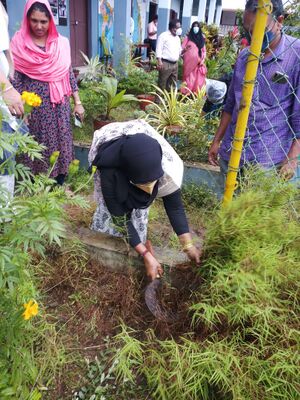 47045-DRY DAY 1.jpeg