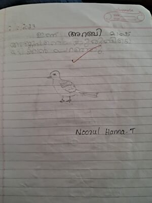 48456-MLP-KUNJ-NOORUL HANNA.T.jpg