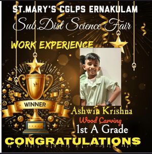 BS21 EKM 26220 26.jpeg