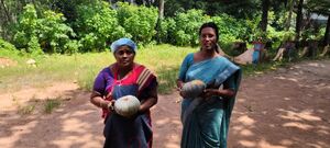 BS TVM 44066 10b.jpeg