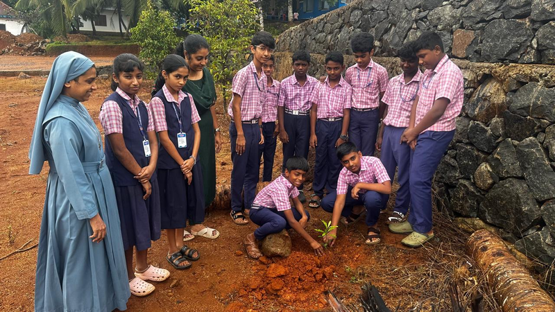 പ്രമാണം:Image MJ @1020.png