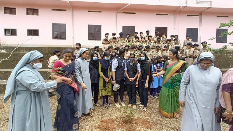 പ്രമാണം:Maram nadal.jpg