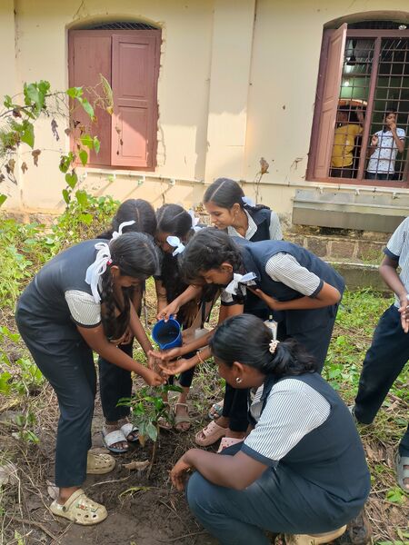 പ്രമാണം:Paristhithi dinam 4.jpg