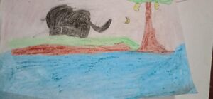 14628 KNR KUNJ AYSHA FATHIMA A.jpeg