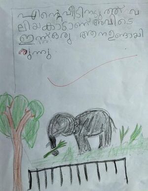 15468-WYD-KUNJ-SWATHI JAYAN.jpeg