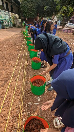 19854-vegitable garden 1.jpg