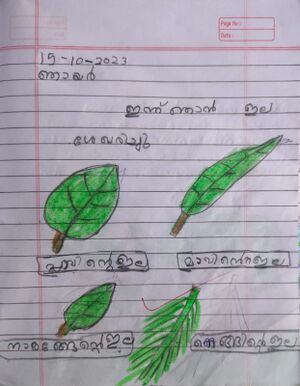 24350-TSR-KUNJ-AFRA FATHIMA R S.jpeg