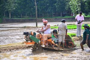 29312 koithulsavam3.jpeg