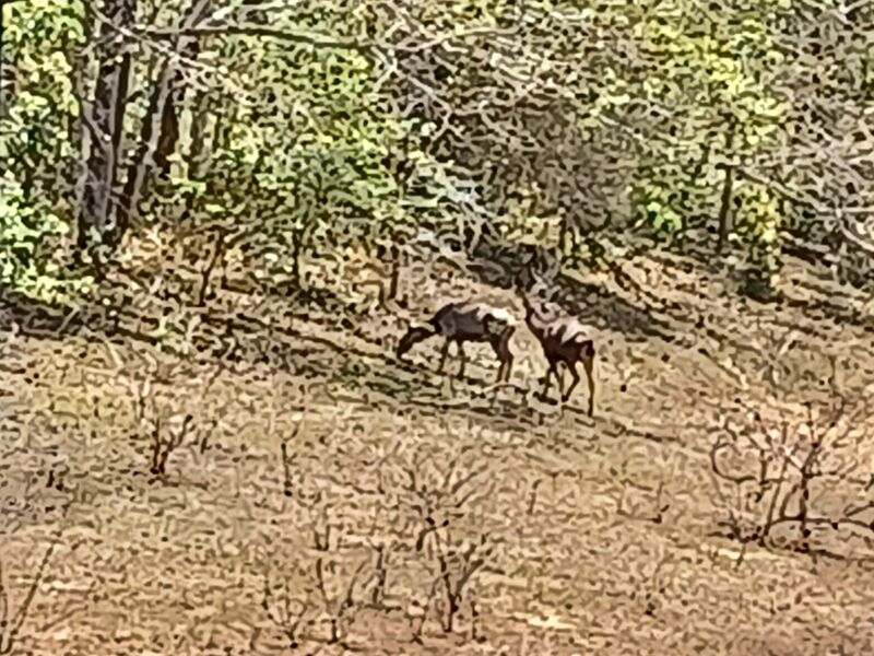 പ്രമാണം:30014 TR TOUR B.jpg