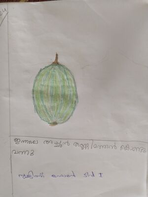 32449-KTM-KUNJ-SUJITH SOMAN.jpg