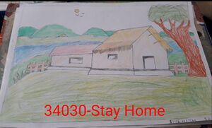 34030-stay home.jpg