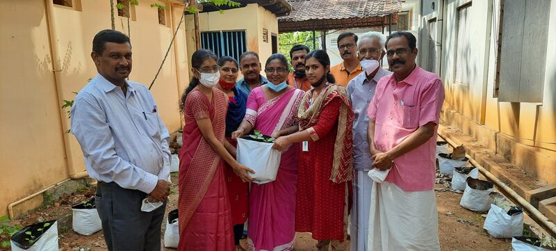 പ്രമാണം:37001 krishi3.jpeg