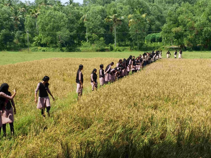 പ്രമാണം:41011 ehss koyithulthsavam2.jpg