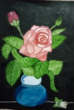 44050 22 12 i53.jpeg