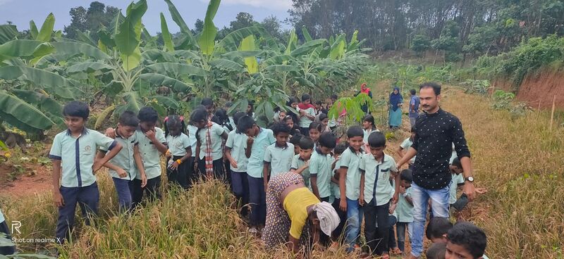 പ്രമാണം:48502 koythulsavam2.jpeg