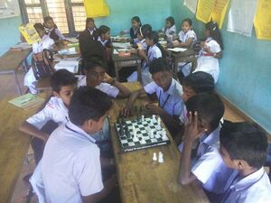 Chess-29057.jpg